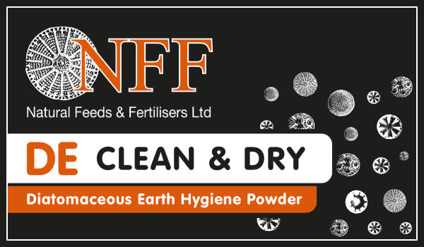 NFF - DE Clean & Dry